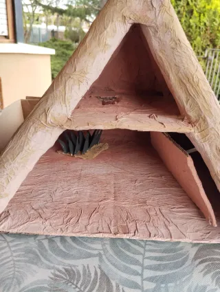 Pirámide artesanal con trampas. Ofertas??