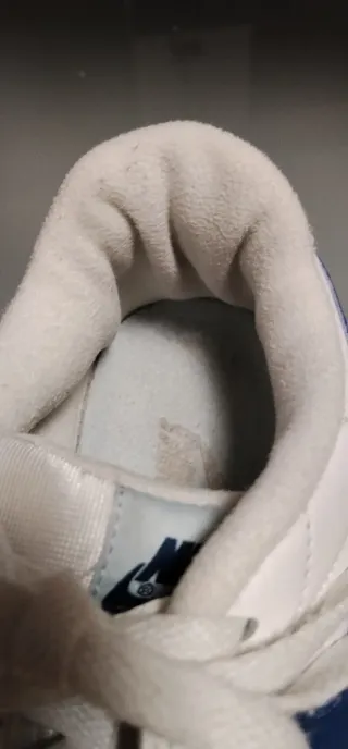 Scarpe Nike Bianche e Blu