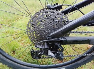 Salsa Pony Rustler 29´