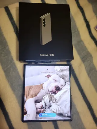 Samsung Galaxy Z Fold6 Plata