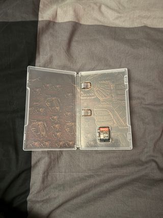 Zelda Tears of the Kingdom Nintendo Switch