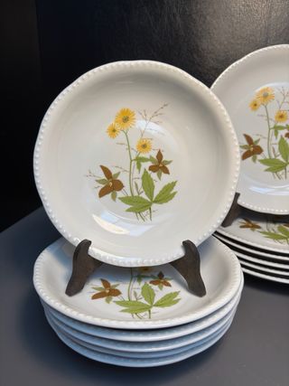 Servizio Piatti Schumann Arzberg Bavaria