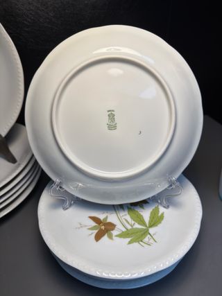 Servizio Piatti Schumann Arzberg Bavaria