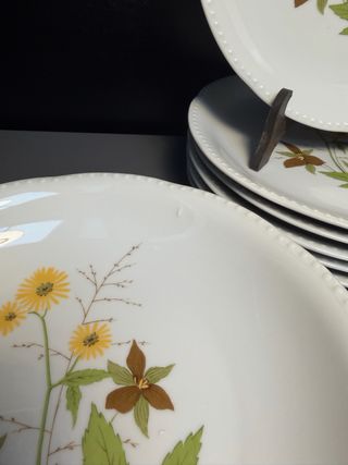 Servizio Piatti Schumann Arzberg Bavaria