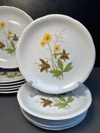 Servizio Piatti Schumann Arzberg Bavaria