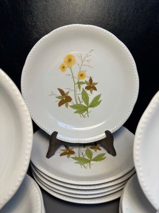 Servizio Piatti Schumann Arzberg Bavaria