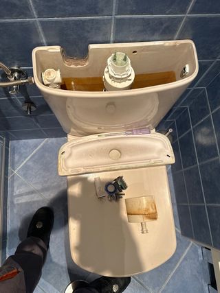 Fontanero ,  cambio de flotador y descargador.