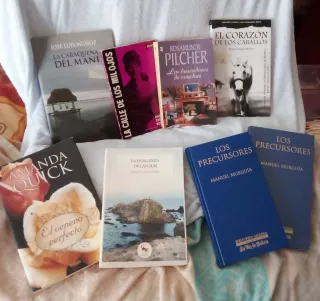Lote de libros variados