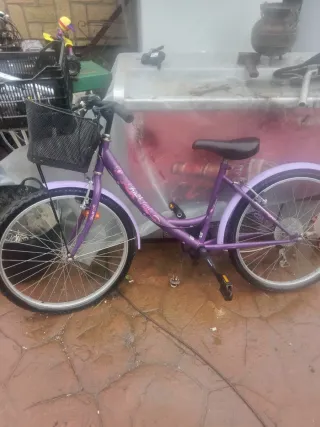Bicicleta Morada Infantil