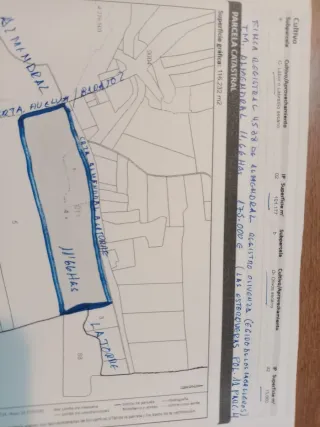 Finca de secano en Almendral