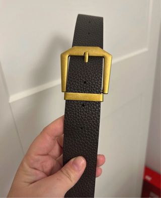 Cinturón Marrón Hebilla Dorada