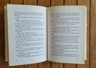 Libro (literatura juvenil): Scratch - F. Lalana