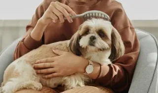 Cuidadora de mascotas y guardería