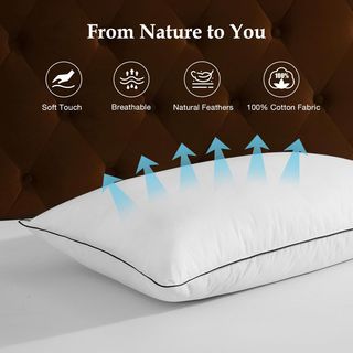 2 Almohadas DWR Pluma Ganso Blancas