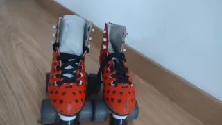 Patines Ladybug Talla 32/33