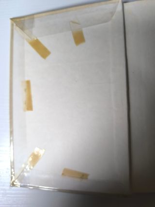 Ecuaciones Diferenciales y Cálculo Variacional