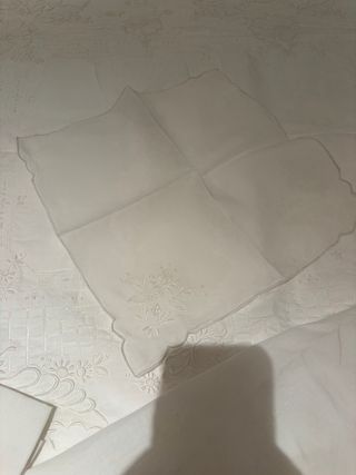 Toalha de mesa bordada com guardanapos