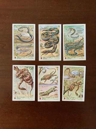 FIGURINE LAVAZZA VARIE SERIE VERAMENTE BELLE