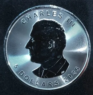 CANADA 2025 1 OZ PLATA 9999 BUHO