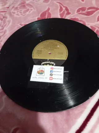 Disco Vinil Deftones Pintado à Mão