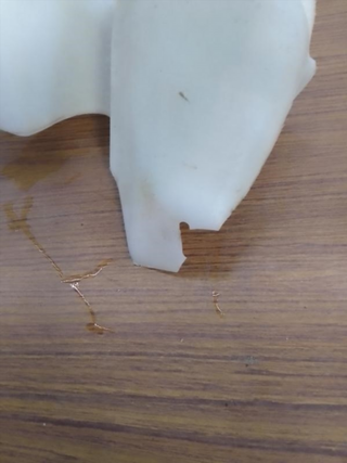 Depósito limpia Citroen Xsara Picasso (N68