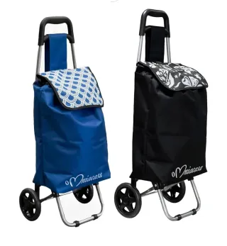 Carrello spesa pieghevole 2 ruote