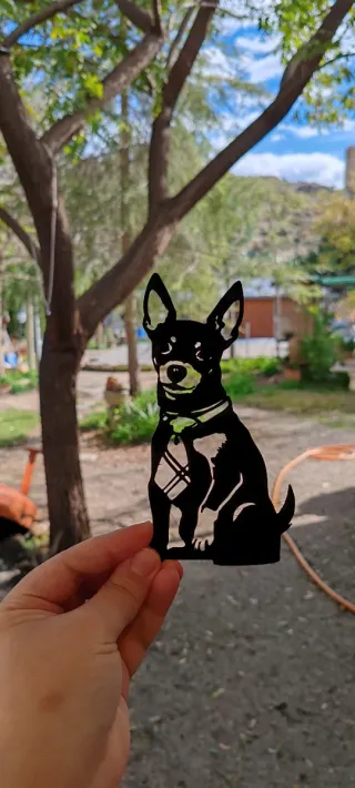 SILHOUETTE, la silueta de tu mascota en 3D