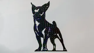 SILHOUETTE, la silueta de tu mascota en 3D