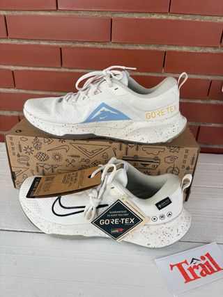 Zapatillas Nike Trail Juniper 2 Gore-Tex