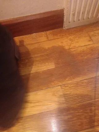 Botas de ante marrones para bebé