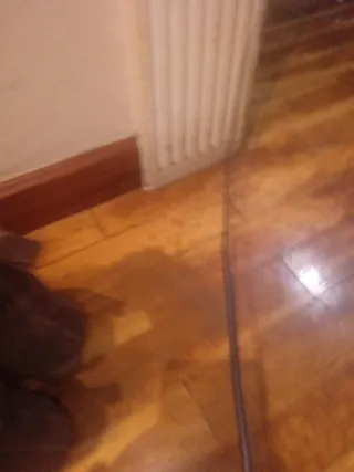 Botas de ante marrones para bebé