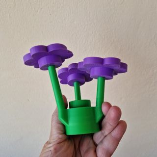 Ramillete Flores Moradas