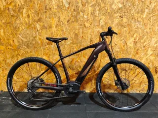 Focus electrica Jarifa