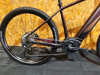 Focus electrica Jarifa