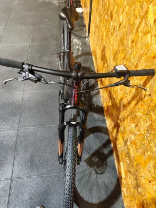 Focus electrica Jarifa