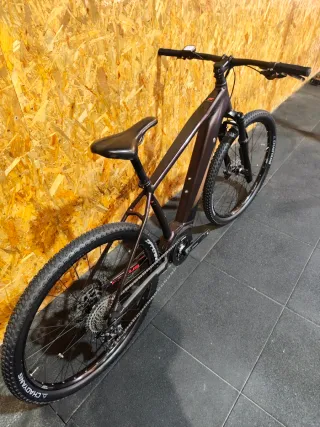 Focus electrica Jarifa