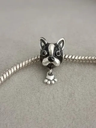 Charm bulldog francés