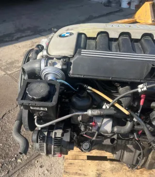 Motor BMW 530d E39 2001 193cv