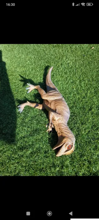 Dinosauro giocattolo cm 50