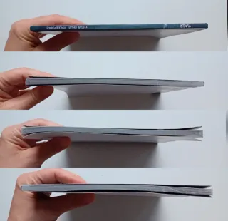 Intrusa di Federico Bertozzi/Vittorio Bustaffa