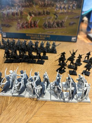 Warhammer Elfos Silvanos - Miniaturas