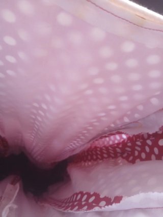 Traje de Flamenca Rojo granate  y Blanco