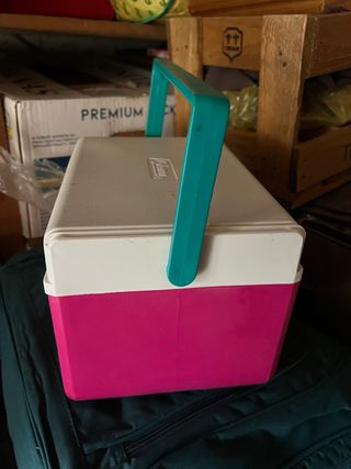Portatile Frigo Rosa Bianco Blu