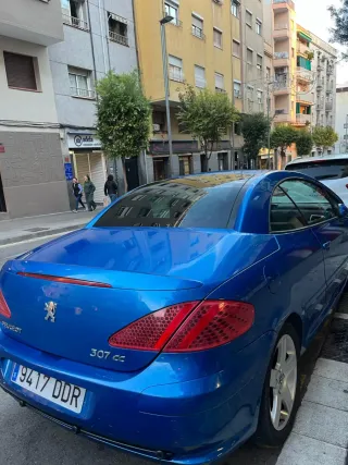 Peugeot 307 2004