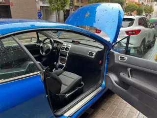 Peugeot 307 2004