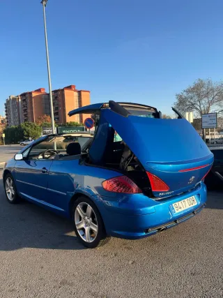 Peugeot 307 2004