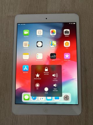 iPad Mini 2