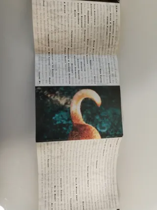 R.E.M., Out Of Time, CD