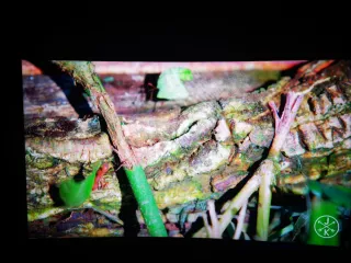 Pantalla de ordenador koorui