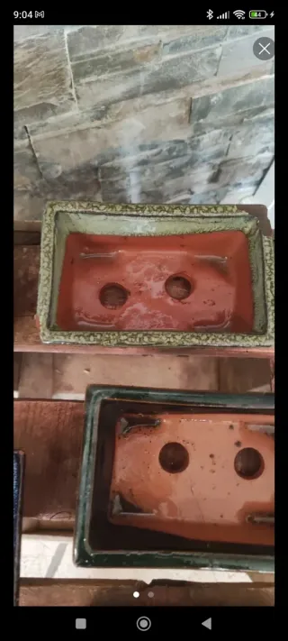 Lote 3 tarrinas bonsai terracota 15cm